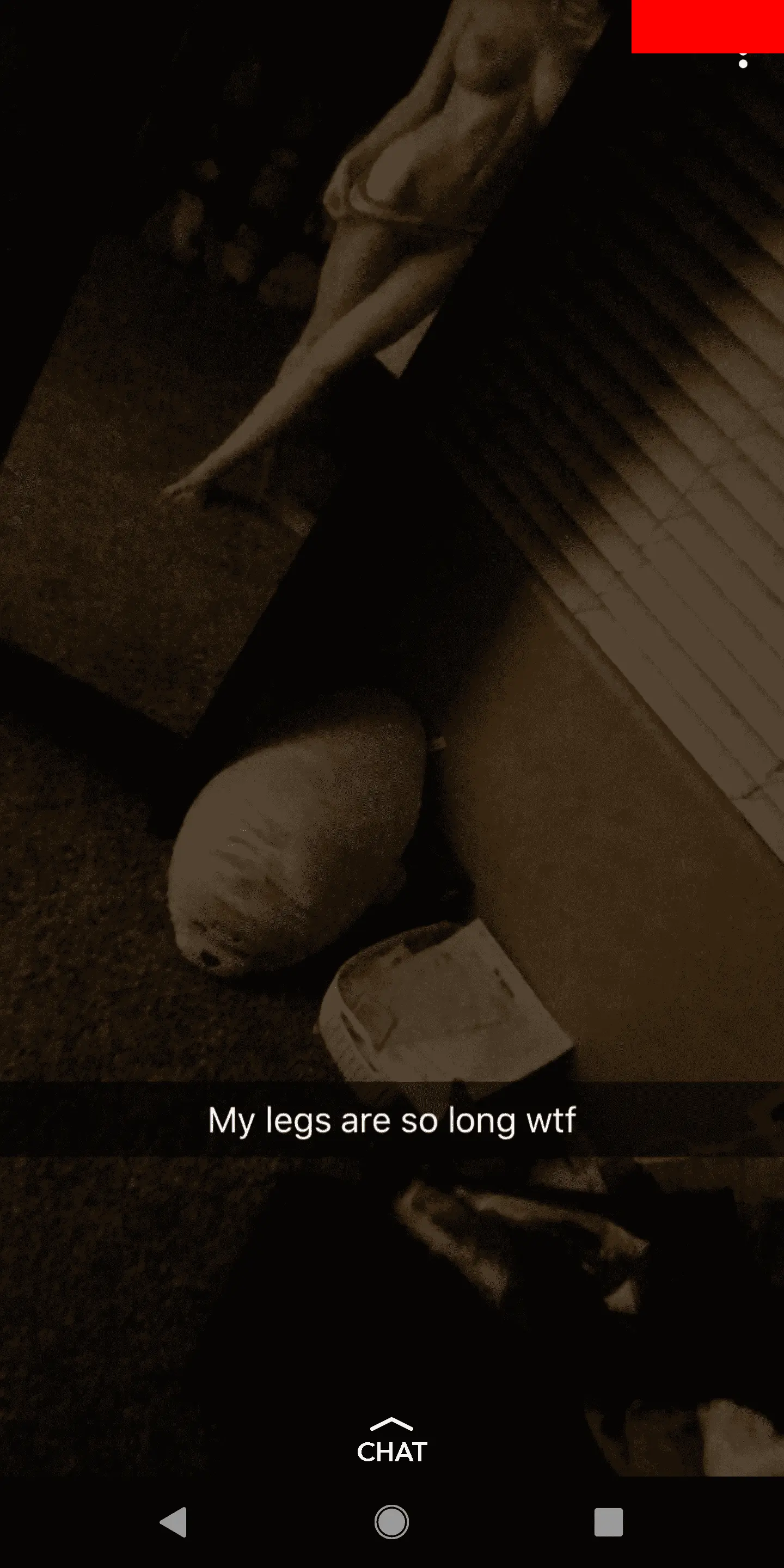 SimpThots Album Image 2