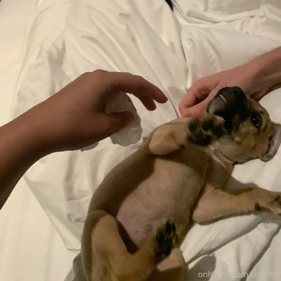 SimpThots Album Image 4
